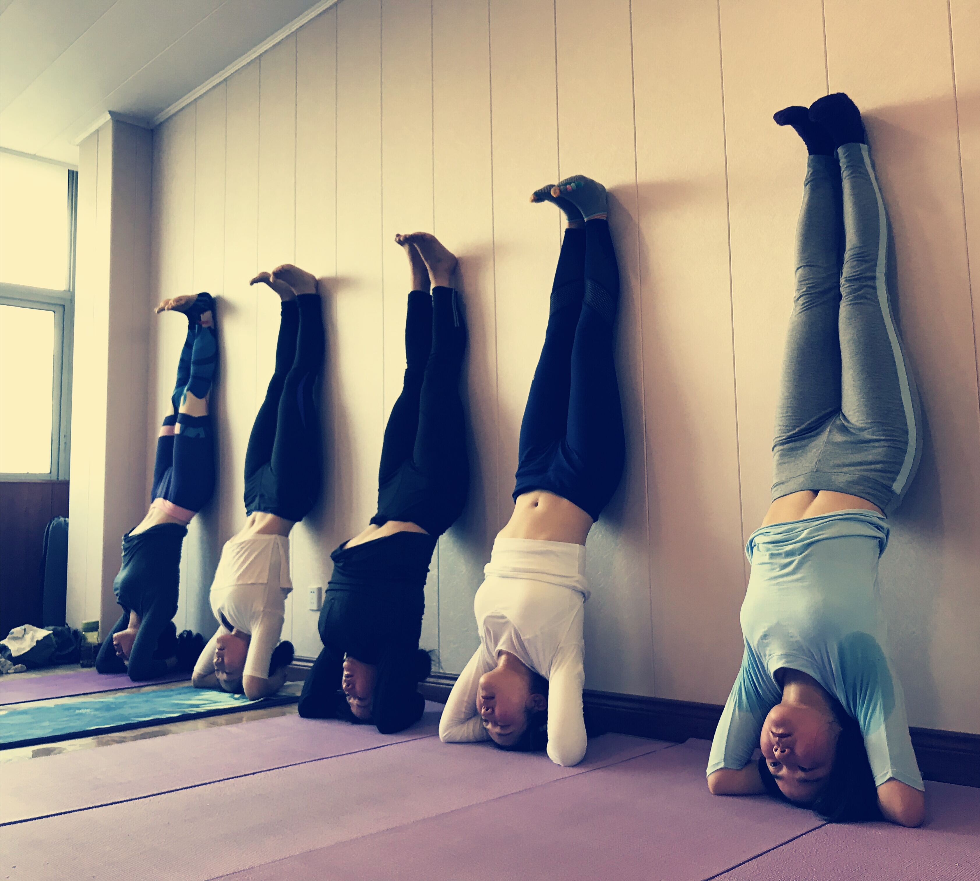 教练需要掌握的体式的医理原理